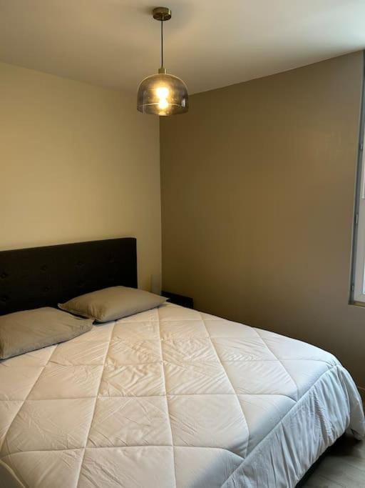 Grand Appartement De Standing Saint-Dizier Eksteriør billede